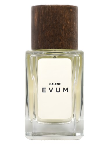 Galene by Evum