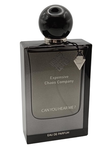 Can You Hear Me? by Expensive Chaos Company