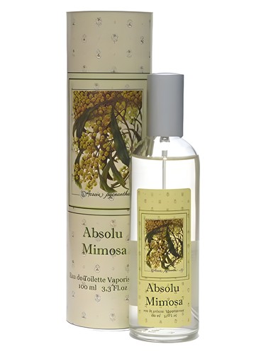Absolu Mimosa by Provence & Nature