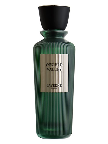 Orchid Valley by Laverne