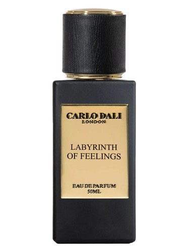 Labyrinth of feelings by Carlo Dali