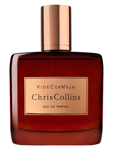 VideCorMeum by Chris Collins