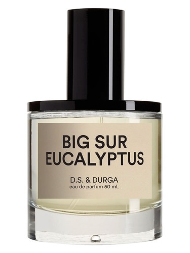 Big Sur Eucalyptus by DS&Durga