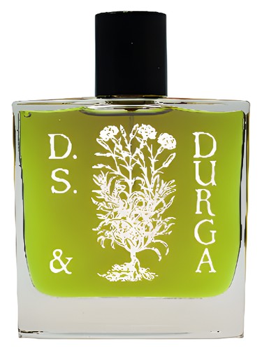 Boston Ivy by DS&Durga