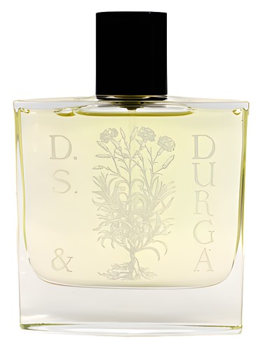 Osmanthus by DS&Durga