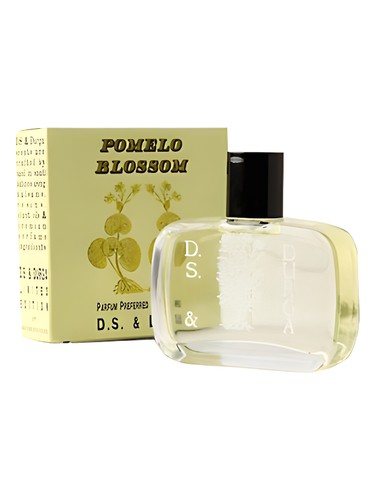 Pomelo Blossom by DS&Durga