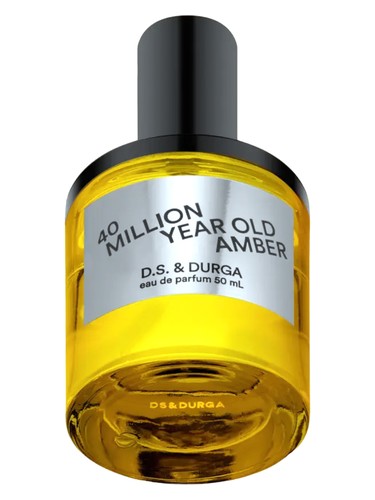 40 Million Year Old Amber by DS&Durga