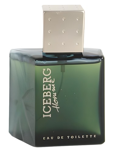 Homme by Iceberg