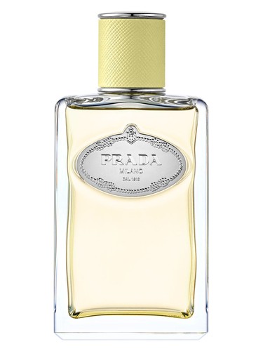 Infusion de Gingembre by Prada