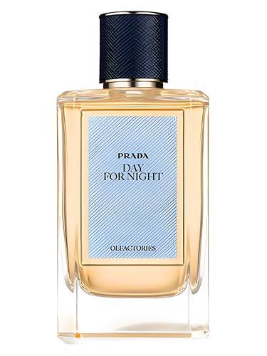 Day For Night by Prada