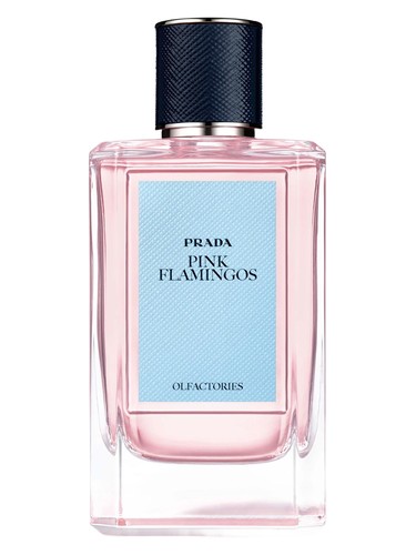 Pink Flamingos by Prada