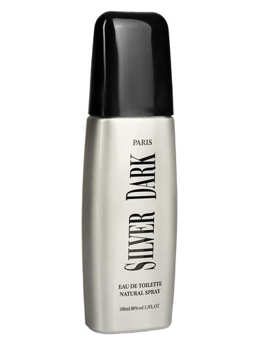 Dark Silver by Parfums Guy Alari