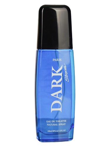 Dark Storm by Parfums Guy Alari