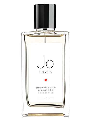 Smoked Plum & Leather by Jo Loves