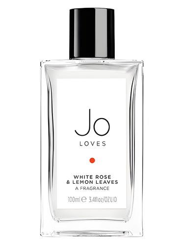 White Rose & Lemon Leaves by Jo Loves