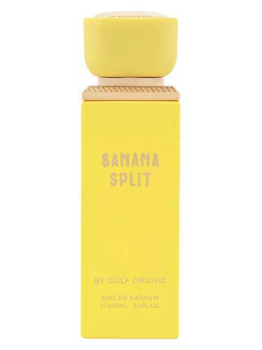 Banana Split by Gulf Orchid