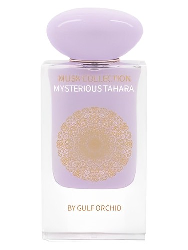 Mysterious Tahara by Gulf Orchid