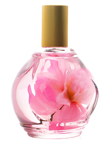 Parfum d'Ambiance Rose by Guy Bouchara