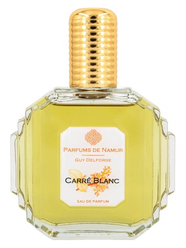 Carré Blanc by Guy Delforge