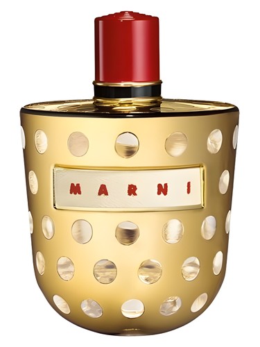 Metallic by Marni