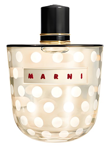 Rose by Marni