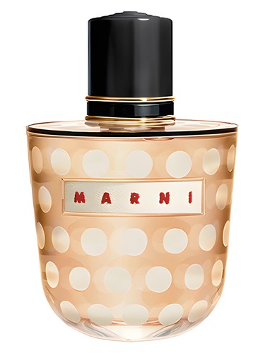 Spice by Marni