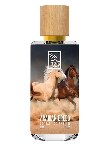 Arabian Breed by The Dua Brand