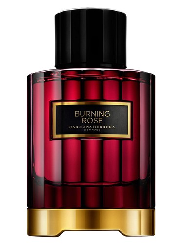 Burning Rose by Carolina Herrera
