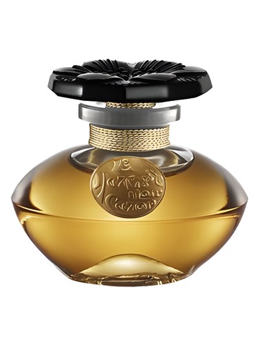 Narcisse Noir by Caron