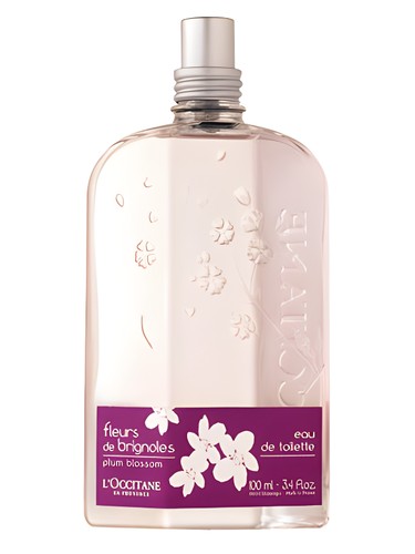 Fleurs de Brignoles (Plum Blossom) by L'Occitane en Provence