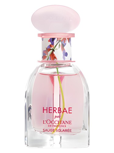 Herbae Clary Sage by L'Occitane en Provence