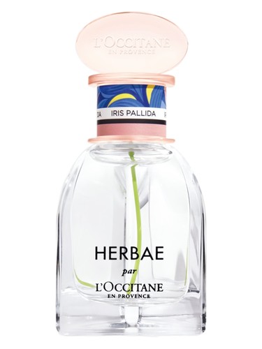 Herbae Iris Pallida by L'Occitane en Provence