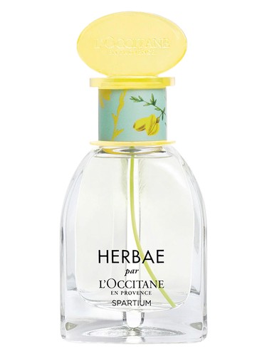 Herbae Spartium by L'Occitane en Provence