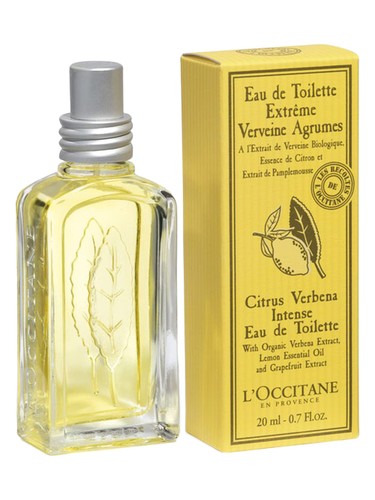 Citrus Verbena Intense by L'Occitane en Provence