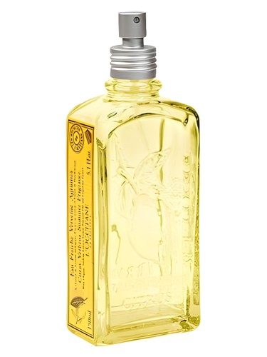 Citrus Verbena Summer by L'Occitane en Provence