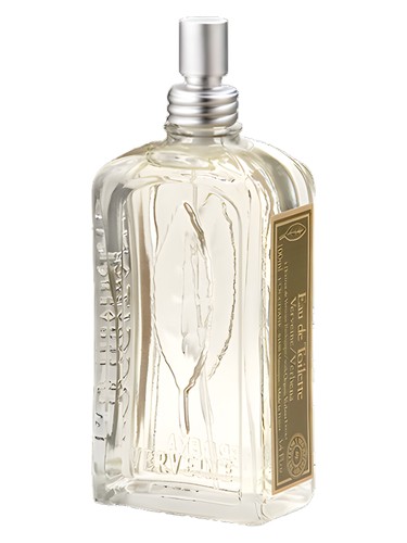 Verveine by L'Occitane en Provence