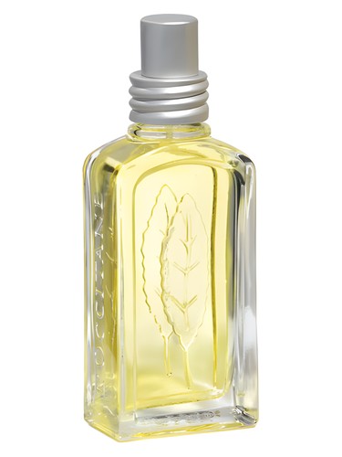 Verveine Agrumes 2008 by L'Occitane en Provence