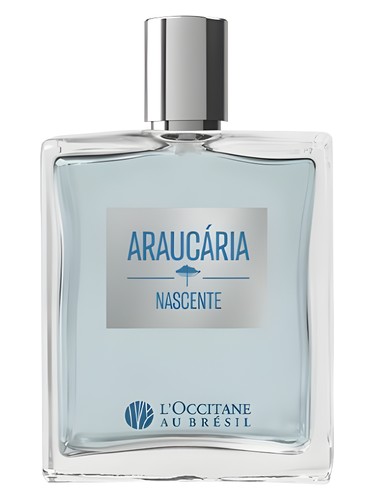 Araucária Nascente by L’Occitane Au Brésil