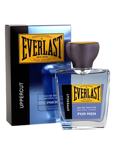 Uppercut by Everlast