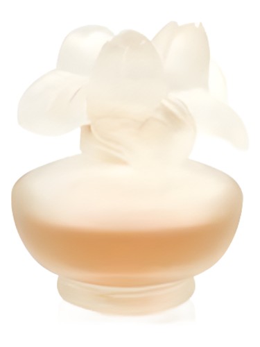 Rose Nuage by Pupa