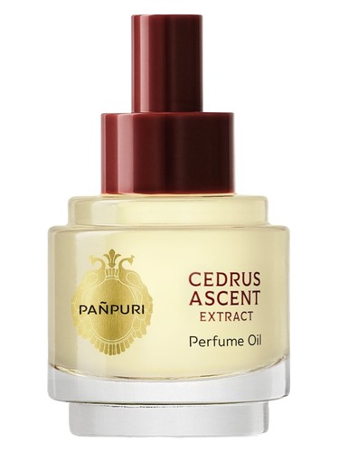Cedrus Ascent by Pañpuri
