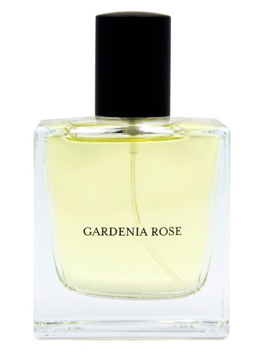 Gardenia Rose by Vdot