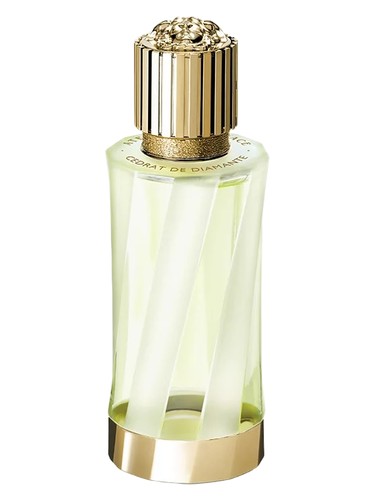 Cédrat de Diamante by Versace