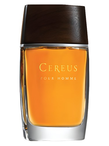 No. 14 by Cereus