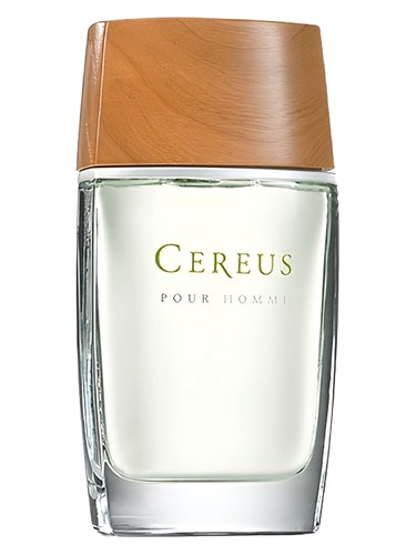 No. 6 by Cereus