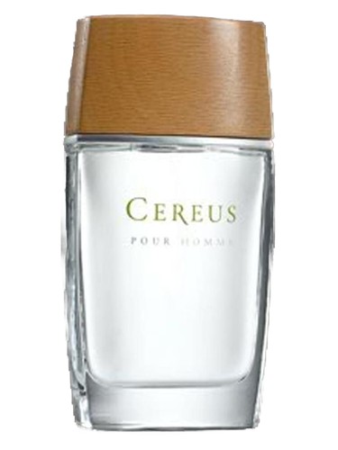 No.4 by Cereus