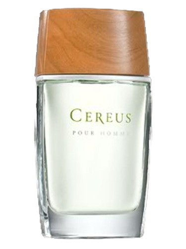 No.5 by Cereus
