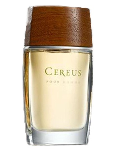 No.7 by Cereus