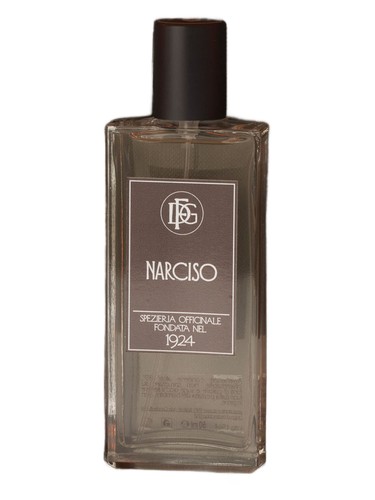 Narciso by DFG1924