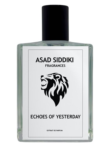 Echoes of Yesterday by Asad Siddiki